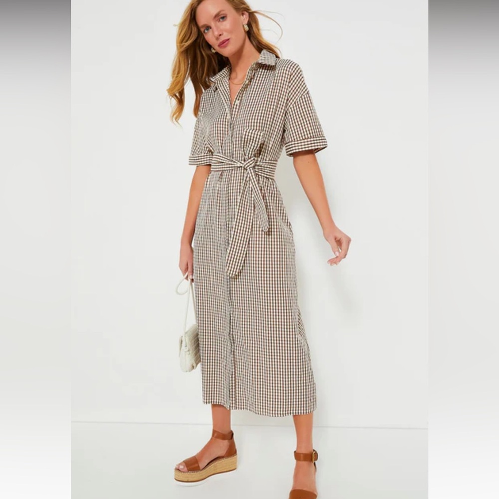 TUCKERNUCK POMANDER PLACE Brown Gingham Seersucker Zacara Dress